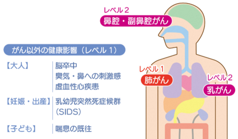 受動喫煙がもたらすがんへの影響はレベル1で肺がん。レベル2では鼻腔・副鼻腔がん・乳がん。レベル1でのがん以外の受動喫煙の健康影響は、大人では脳卒中、臭気・鼻への刺激感、虚血性心疾患。妊娠・出産に及ぼす影響は乳児突然死症候群（SIDS）。子供に及ぼす影響は喘息の既往。