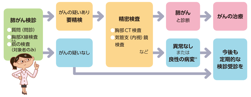 肺がん検診・精密検査の流れ。肺がん検診では問診と胸部X線検査、対象者のみ痰の検査を行い、がんの疑いなしの場合は今後も定期的な検診受診を、がんの疑いありの場合は要精検となります。精密検査では胸部CT検査、気管支（内視）鏡検査などを行い、肺がんと診断されたらがんの治療へ。異常なしまたは良性の病変と診断されたら今後も定期的な検診受診をしてください。