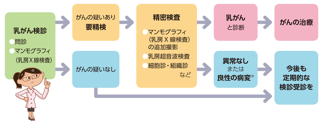 乳がん検診は問診、マンモグラフィ（乳房X線検査）などがあり、がんの疑いあり（要精検）の場合はマンモグラフィの追加撮影、乳房超音波検査、細胞診・組織診といった精密検査を行います。ここまででがんの疑いなし、異常なし、良性の病変と診断された場合、今後も定期的な検診受診を心がけてください。乳がんと診断された場合、がんの治療が必要です。