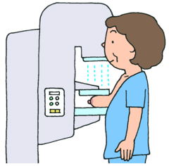 乳房Ｘ線検査（マンモグラフィ）